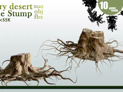 10 Tree Stump VOL 06 3D model