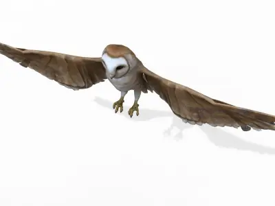 Owl bird 3D model