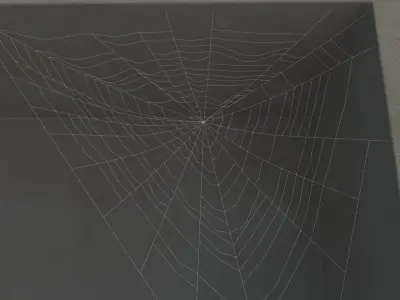 Spiderweb 3 3D model