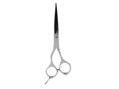 Scissors(1) 3D model