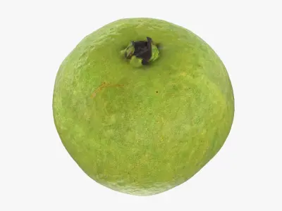 Whole Pink Guava 3D model