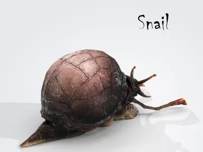 Snail Low-poly 3D model