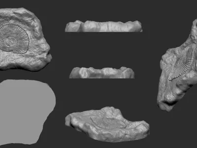 Ammonite Mineral Fossile - Realistic Printable and Keychain 3D print model