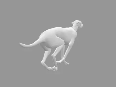 Running greyhound 3D model