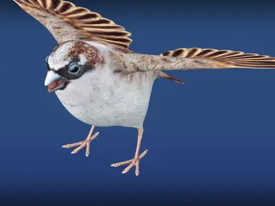 Sparrow Rig Low-poly 3D model