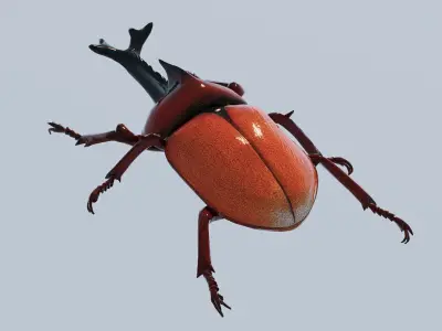 Vibrant beetle Low-poly 3D model