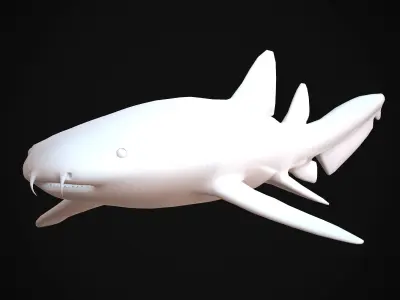 Nurse Shark Low-poly 3D model