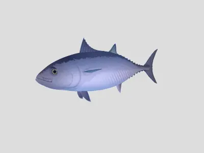 Fish Collection 04 Low-poly 3D model
