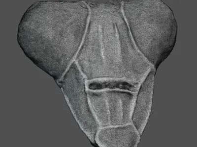 Praying Mantis Mask - 3D Scan Free 3D model