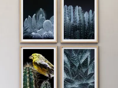 JUNIQE Cactus framed set-02 3D model
