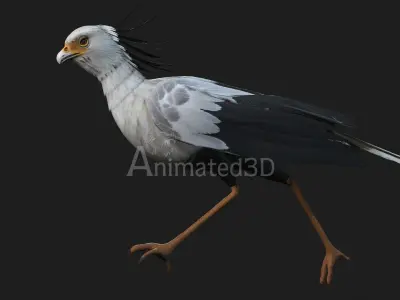 SecretaryBird A1 3D model
