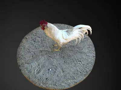 rooster 3d on rock 3D model