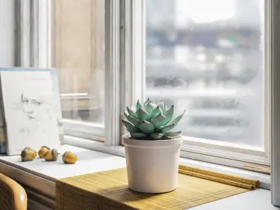  Echeveria Tippy Succulent Potted Plant Model 