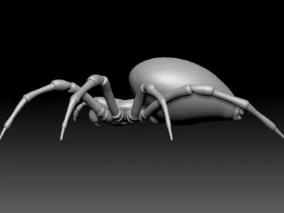 Garden Spider Low-poly 3D model