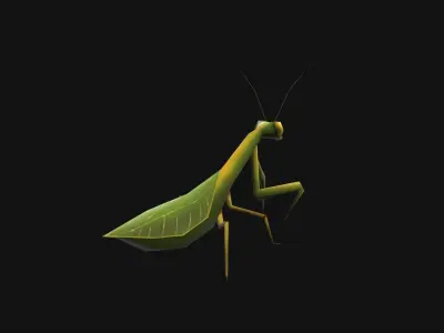 Animated Mantis Low-poly 3D model