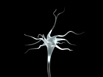 Neuron Cell 3D Model 3D model