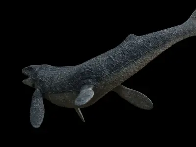 Mosasaurus Mosasaur Low-poly 3D model