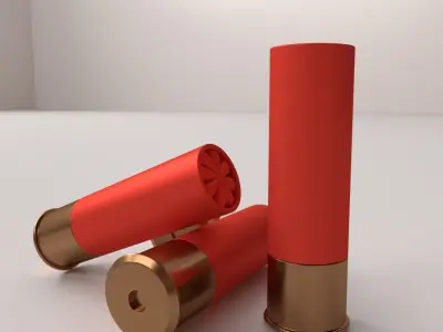 Shotgun Shells 3D model