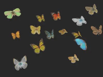 Butterflies  Animated Rigged Collection  Low-poly 3D model