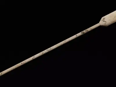 Cannon Rammer Low-poly 3D model