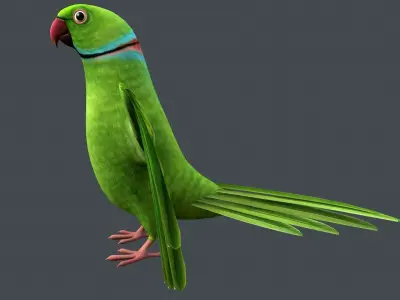 Parrot  bird Low-poly 3D model