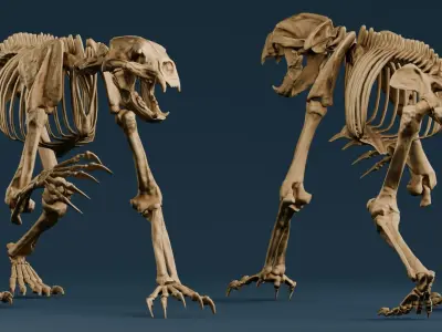 Realistic Mammals Fossil - Short Faced Bear Low-poly 3D model