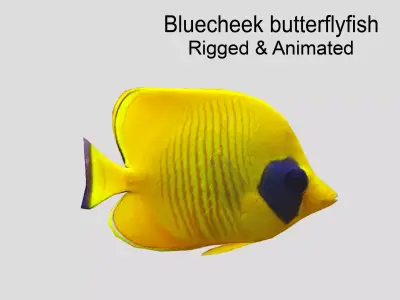 Bluecheek butterflyfish Realistic Animated Low-poly 3D model