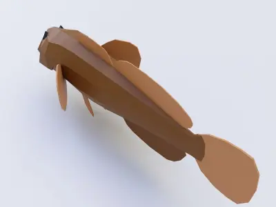 Cottus cognatus fish low poly 3d model  Low-poly 3D model