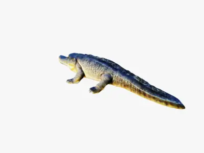 Crocodile Free 3D model