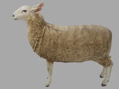 Sheep obj and blend Low-poly 3D model