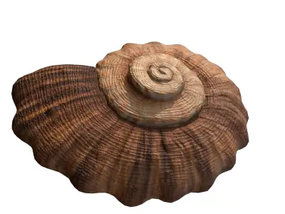 Photorealistic lowpoly shell  Low-poly 3D model