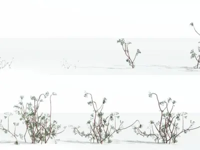 EVERYPlant Baiera LowPoly 2 --14 Models-- Low-poly 3D model