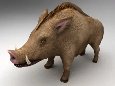 Wild boar 3D model get