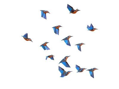 Animated Flock Birds lowpoly art style Calibri Low-poly 3D model