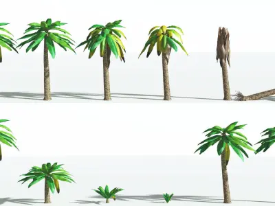 EVERYPlant Bjuvia Cycad LowPoly 2 --12 Models-- Low-poly 3D model