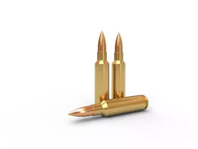 300 Winchester SM Low-poly 3D model