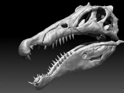 Dinosaur Spinosaurus Skull Set 3D model