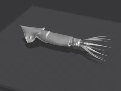 Squid Bait Free 3D print model