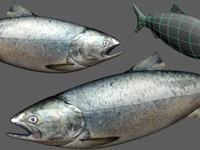 Salmon Fish Lowpoly 3D Gaming model Low-poly 3D model