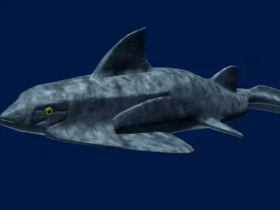 groenlandaspis shark Low-poly 3D model
