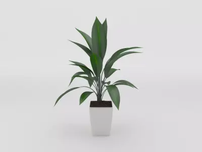 Green Potted Plant 3d Model Free 3D model
