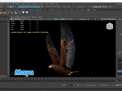 Realistic Animated Golden Eagle Low-poly 3D model