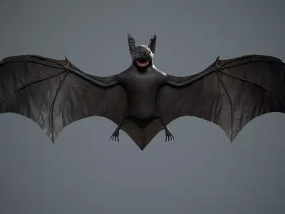 Bat 3D  Low-poly 3D model