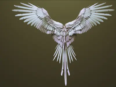 WINGS - 33 CREATURES MESHES 3D model