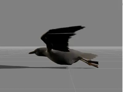 seagull v1 Low-poly 3D model