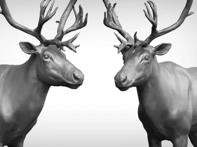Reindeer 3D model buy