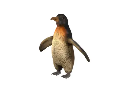 penguin rig  high-poly  textured 3D model