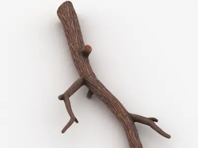 Branch 05 3D model
