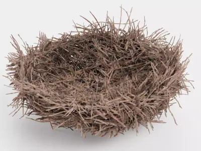 -Nest- 3D model