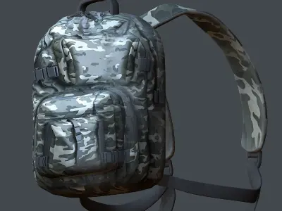 Backpack Camping Generic military human bag storqge baggage Low-poly 3D model